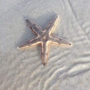 Meet your Posher, Janet